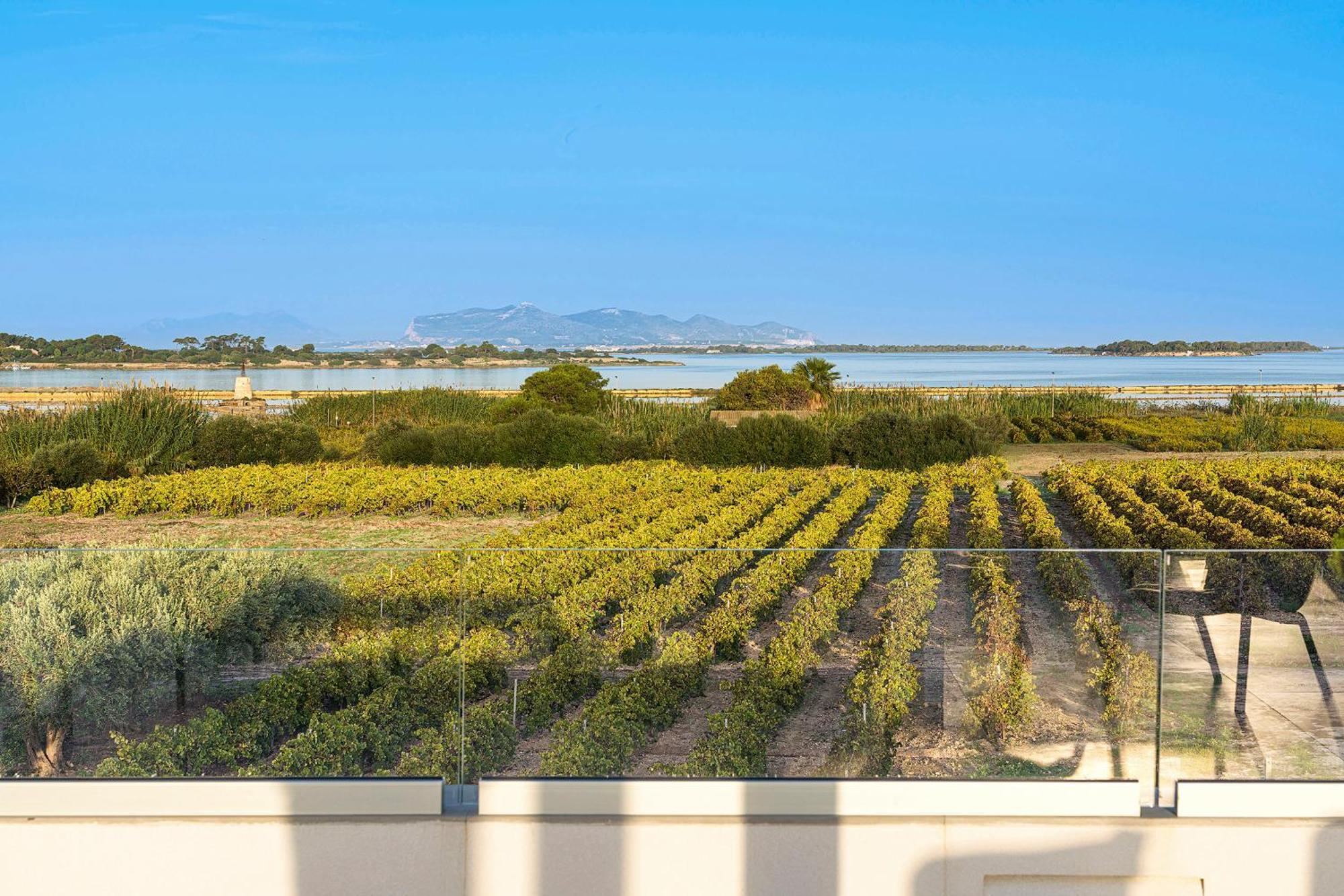 Martina'S Vineyard - Villa Marsala Ngoại thất bức ảnh